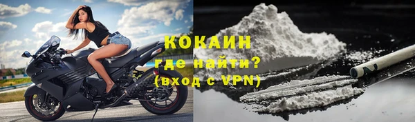 молекула духа Магадан