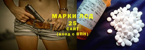 гашик Майский