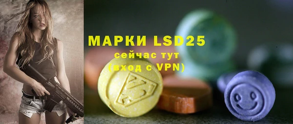 молекула духа Магадан