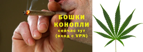 гашик Майский