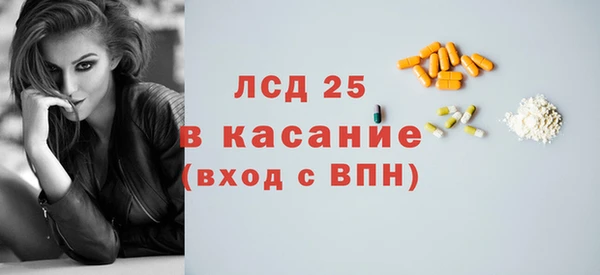 гашик Майский