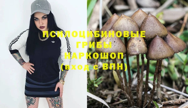 гашик Майский
