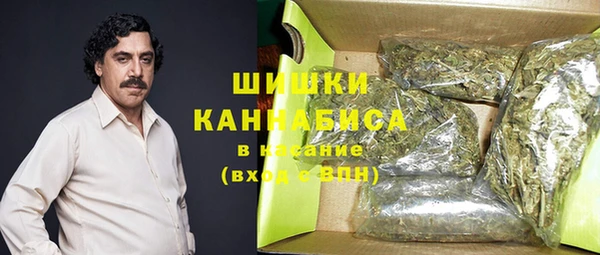 гашик Майский