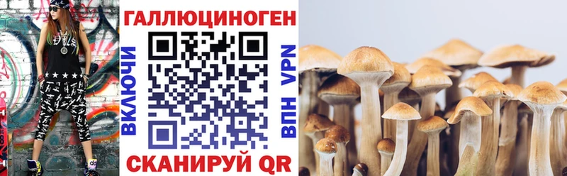 Псилоцибиновые грибы Magic Shrooms Яхрома